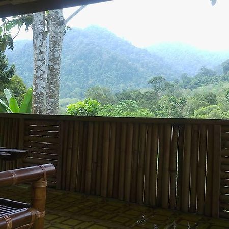 Hotel Batu Kapal Jungle Houses Berastagi Exteriér fotografie