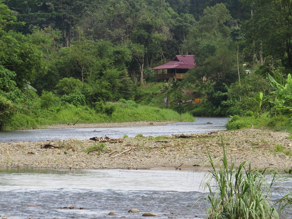 Hotel Batu Kapal Jungle Houses Berastagi Pokoj fotografie