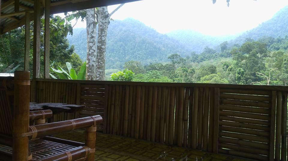 Hotel Batu Kapal Jungle Houses Berastagi Exteriér fotografie