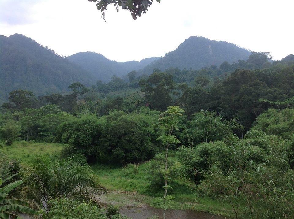 Hotel Batu Kapal Jungle Houses Berastagi Exteriér fotografie