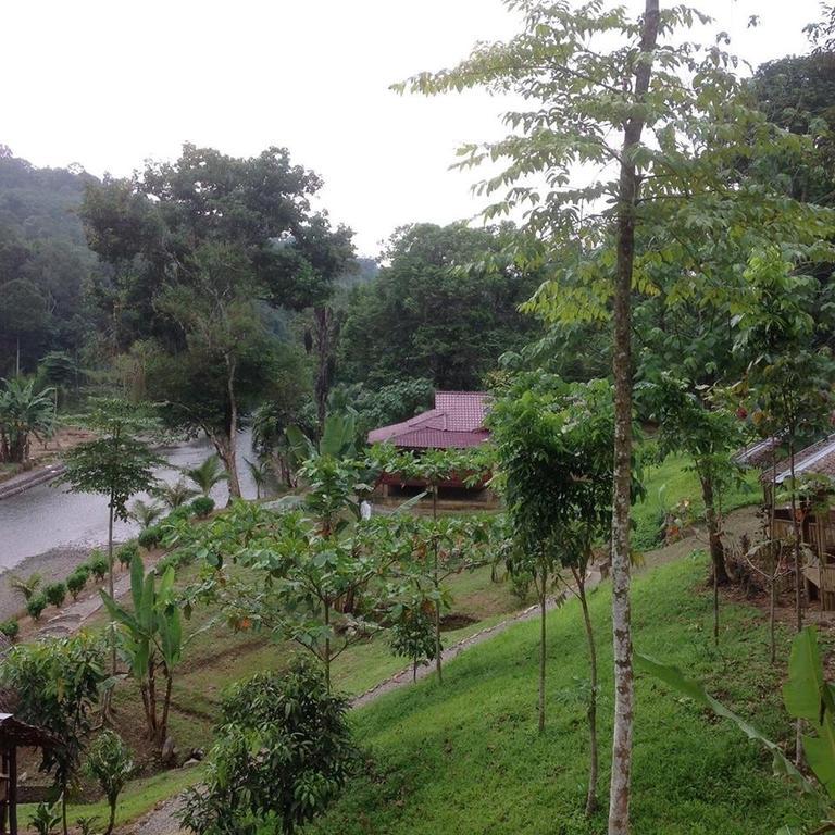 Hotel Batu Kapal Jungle Houses Berastagi Exteriér fotografie