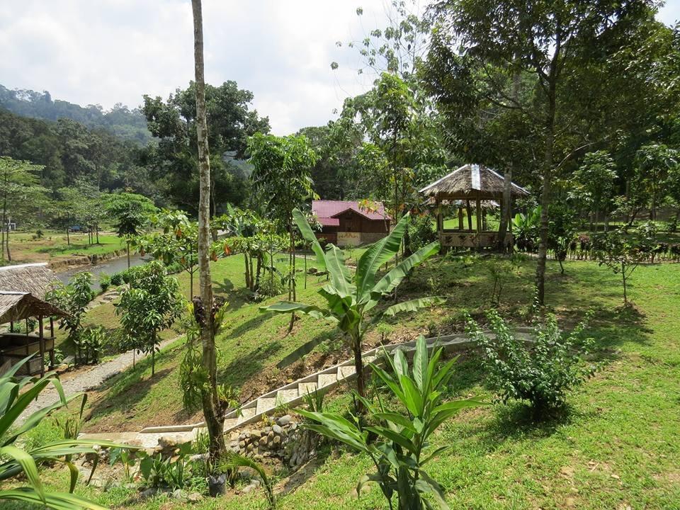 Hotel Batu Kapal Jungle Houses Berastagi Exteriér fotografie